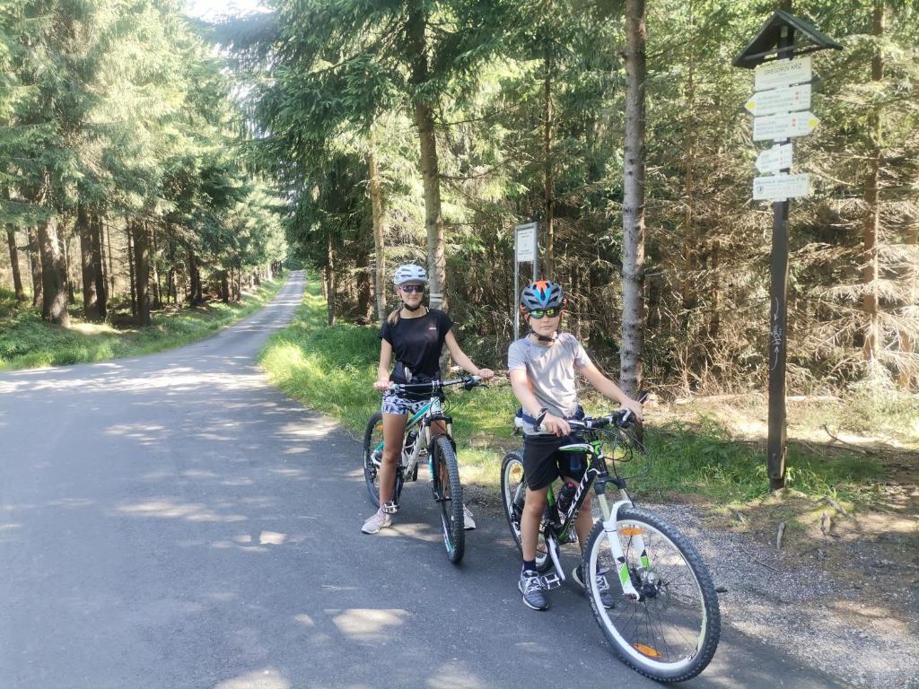 Apartmány Paseky - Jablonec nad Nisou room 4